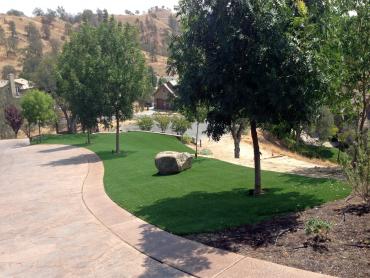 Artificial Grass Photos: Artificial Pet Turf Upland California Landscape, Lawns